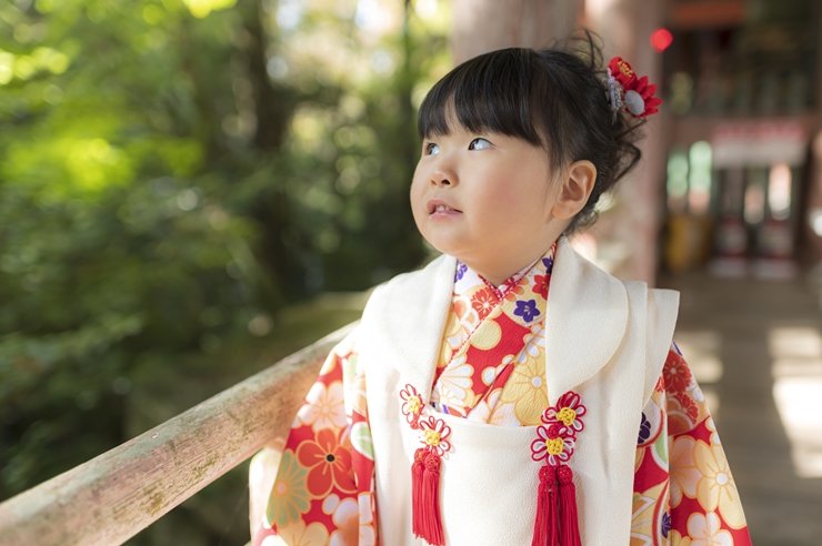 七五三　晴れ着　着物　お祝い　3歳用