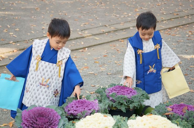 【3歳の七五三】男の子も被布を着てもいい?