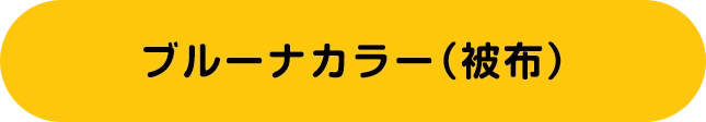 ブルーナカラー（被布）