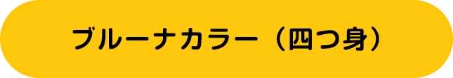 ブルーナカラー（四つ身）