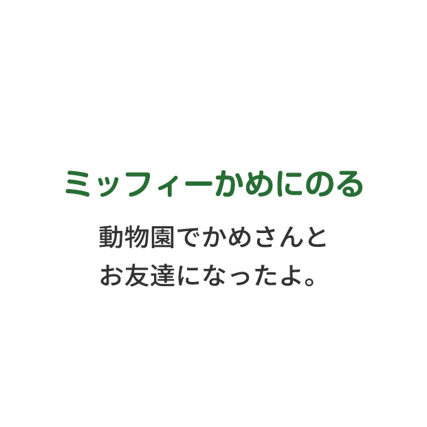 ミッフィーかめにのる 動物園でかめさんとお友達になったよ。