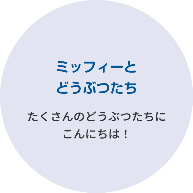 ミッフィーとどうぶつたち たくさんのどうぶつたちにこんにちは！