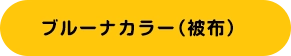 ブルーナカラー（被布）