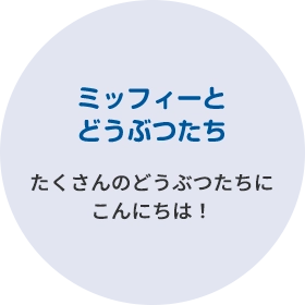 ミッフィーとどうぶつたち たくさんのどうぶつたちにこんにちは！