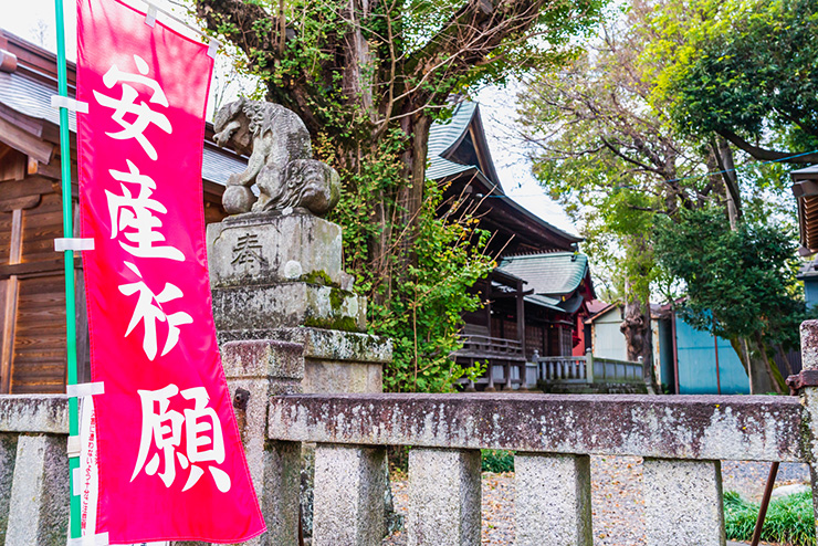 【安産祈願・ご祈祷|完全ガイド】当日の流れ&人気の神社・お寺8選