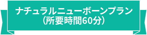 ナチュラルニューボーンプラン（所要時間60分）