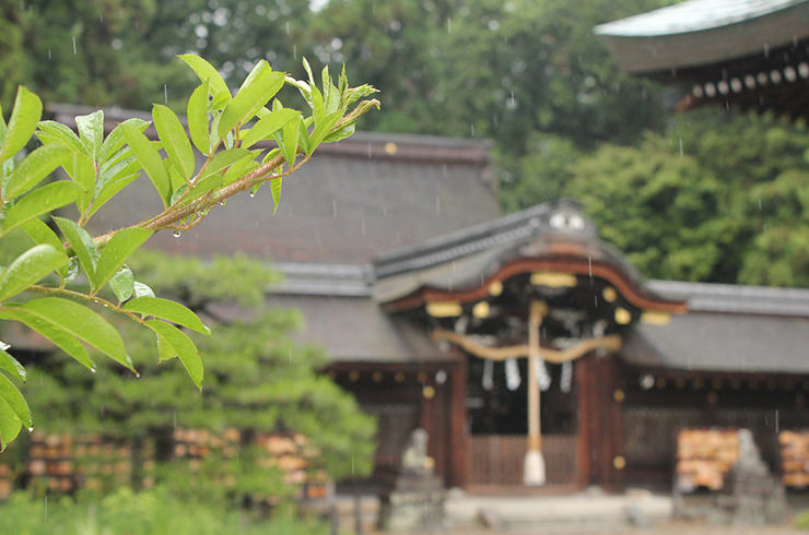 お宮参り当日に雨が降ったらどうする？対処法や写真の撮り方のコツを紹介