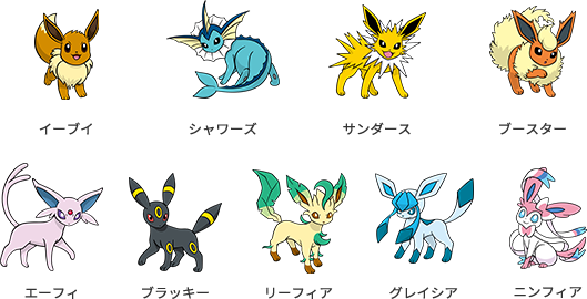 イーブイ / シャワーズ / サンダーズ / ブースター / エーフィ / ブラッキー / リーフィア / グレイシア / ニンフィア