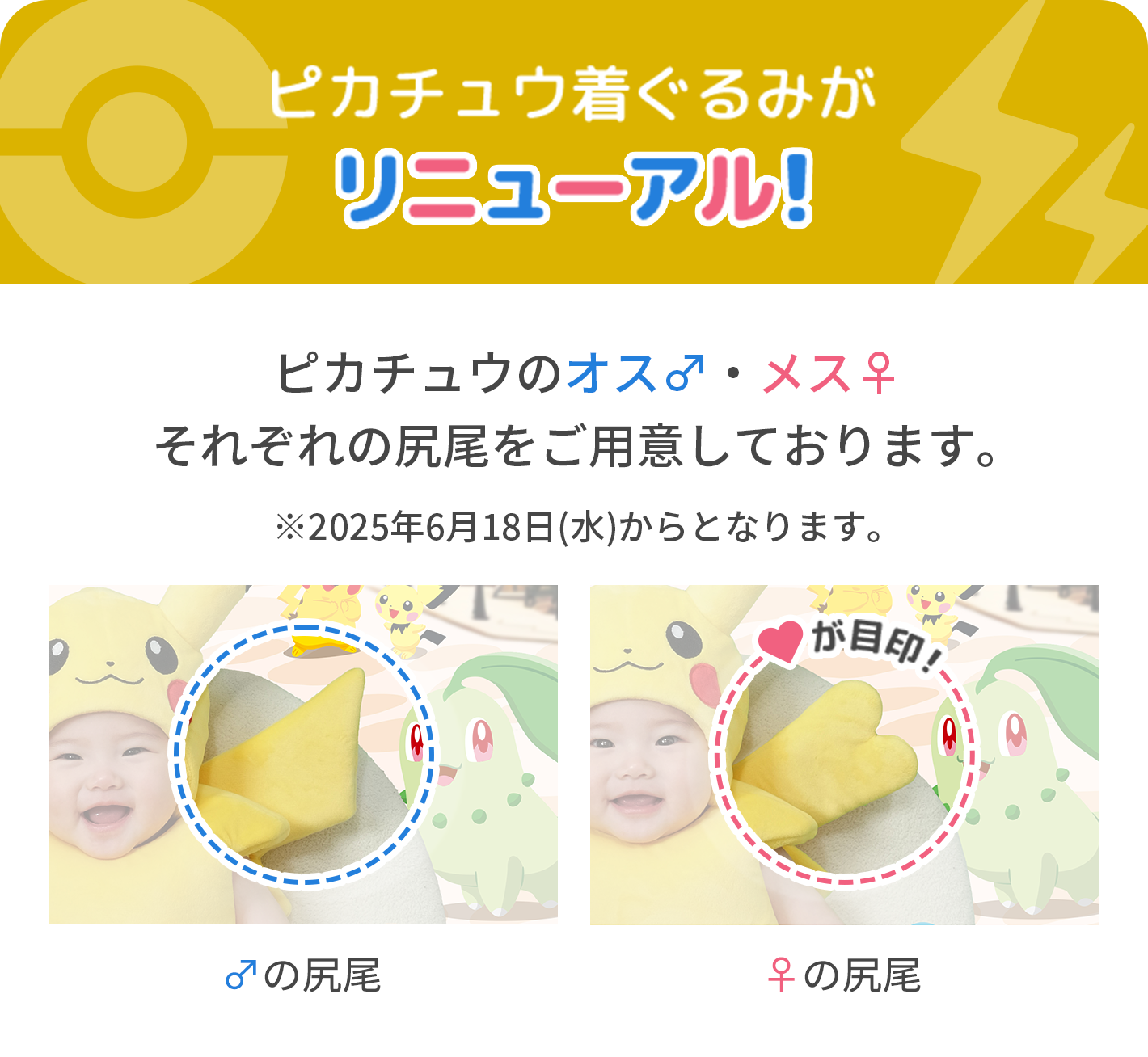 ピカチュウ着ぐるみがリニューアル!ピカチュウのオス♂・メス♀それぞれの尻尾をご用意しております。