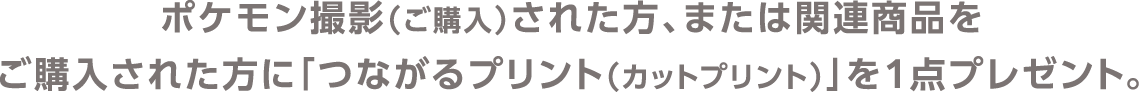 ポケモン撮影（ご購入）された方、または関連商品をご購入された方に「つながるプリント（カットプリント）」を1点プレゼント。