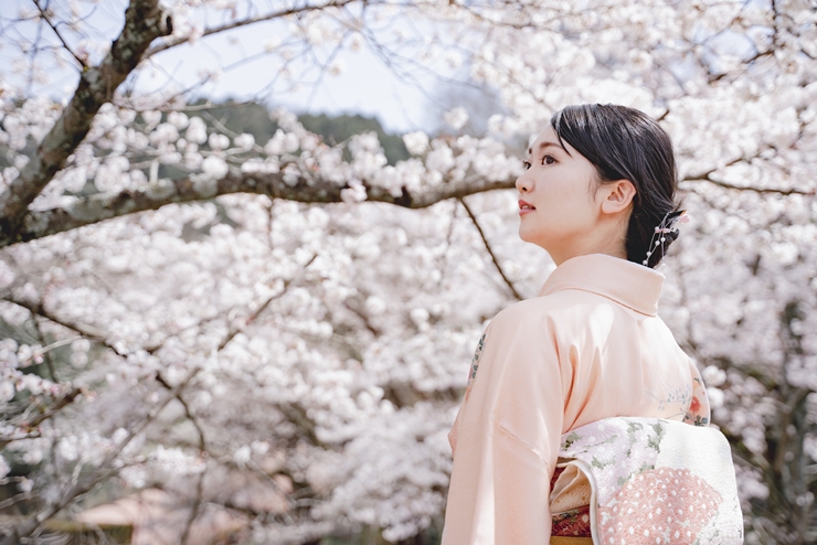 入学式のママの服装は着物でもok ふさわしい着物や小物 髪型を解説 こども写真館スタジオアリス 写真スタジオ フォトスタジオ