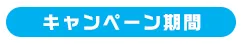 キャンペーン期間