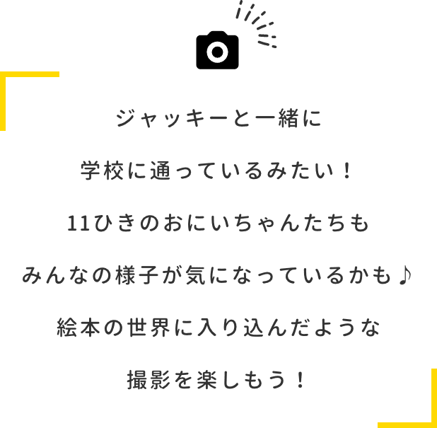 ジャッキーと一緒に学校に通っているみたい！11ひきのおにいちゃんたちもみんなの様子が気になっているかも 絵本の世界に入り込んだような撮影を楽しもう！