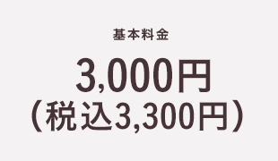 基本料金3,000円(税込3,300円)