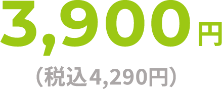 3,900(税込4,290円)