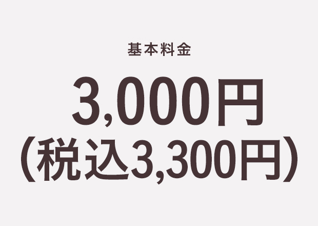 基本料金3,000円(税込3,300円)