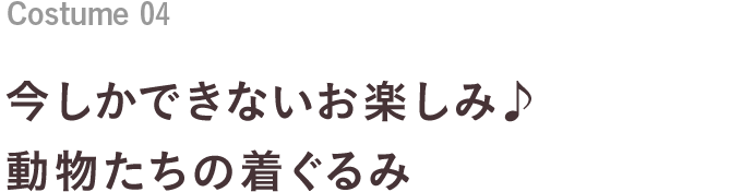 Costume 04 今しかできないお楽しみ♪動物たちの着ぐるみ