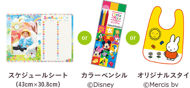 スケジュールシート(43cm×30.8cm)or カラーペンシル ©Disney or オリジナルスタイ © Mercis bv