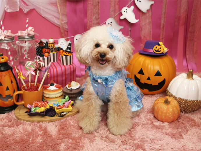 ハロウィン