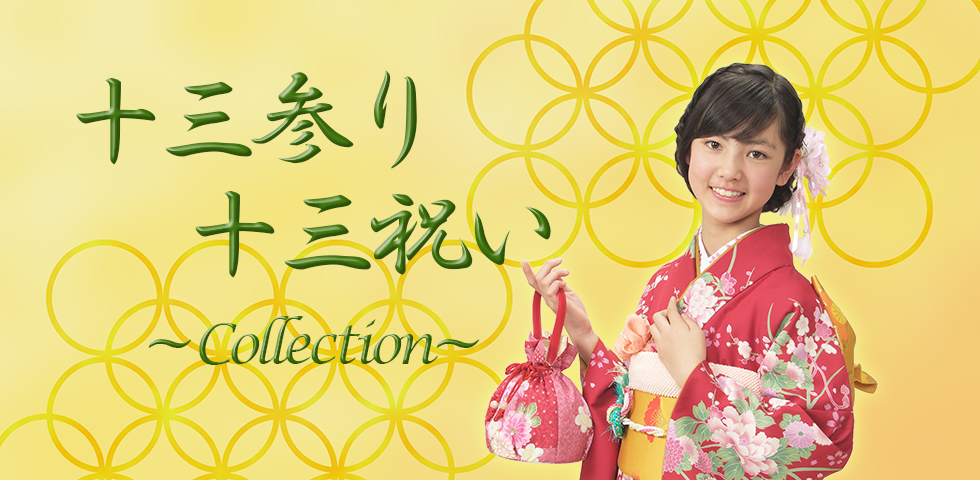 十三参り 十三祝いコレクション 販売価格31 680円 税込 料金 商品 こども写真館スタジオアリス 写真スタジオ フォトスタジオ