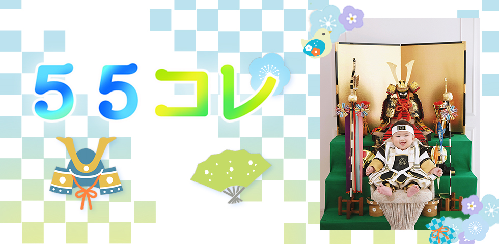 55コレ[販売価格35,200円(税込)～]●全プランデータ付●