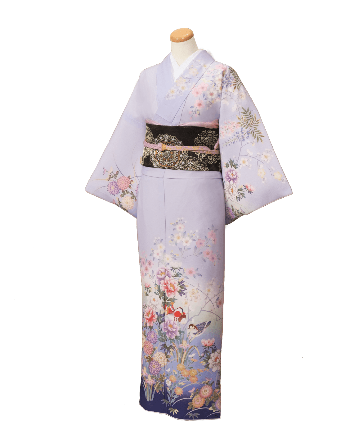 パパママ着物フォトプラン キャンペーン情報 こども写真館スタジオアリス 写真スタジオ フォトスタジオ パパママ着物フォトプラン キャンペーン情報 こども写真館スタジオアリス 写真スタジオ フォトスタジオ