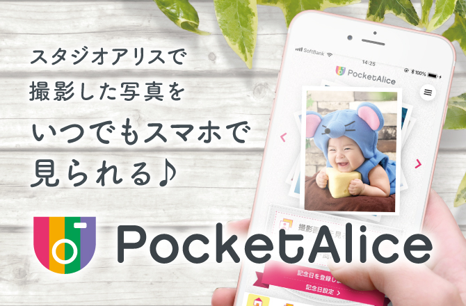 ポケットアリス(Pocket Alice)