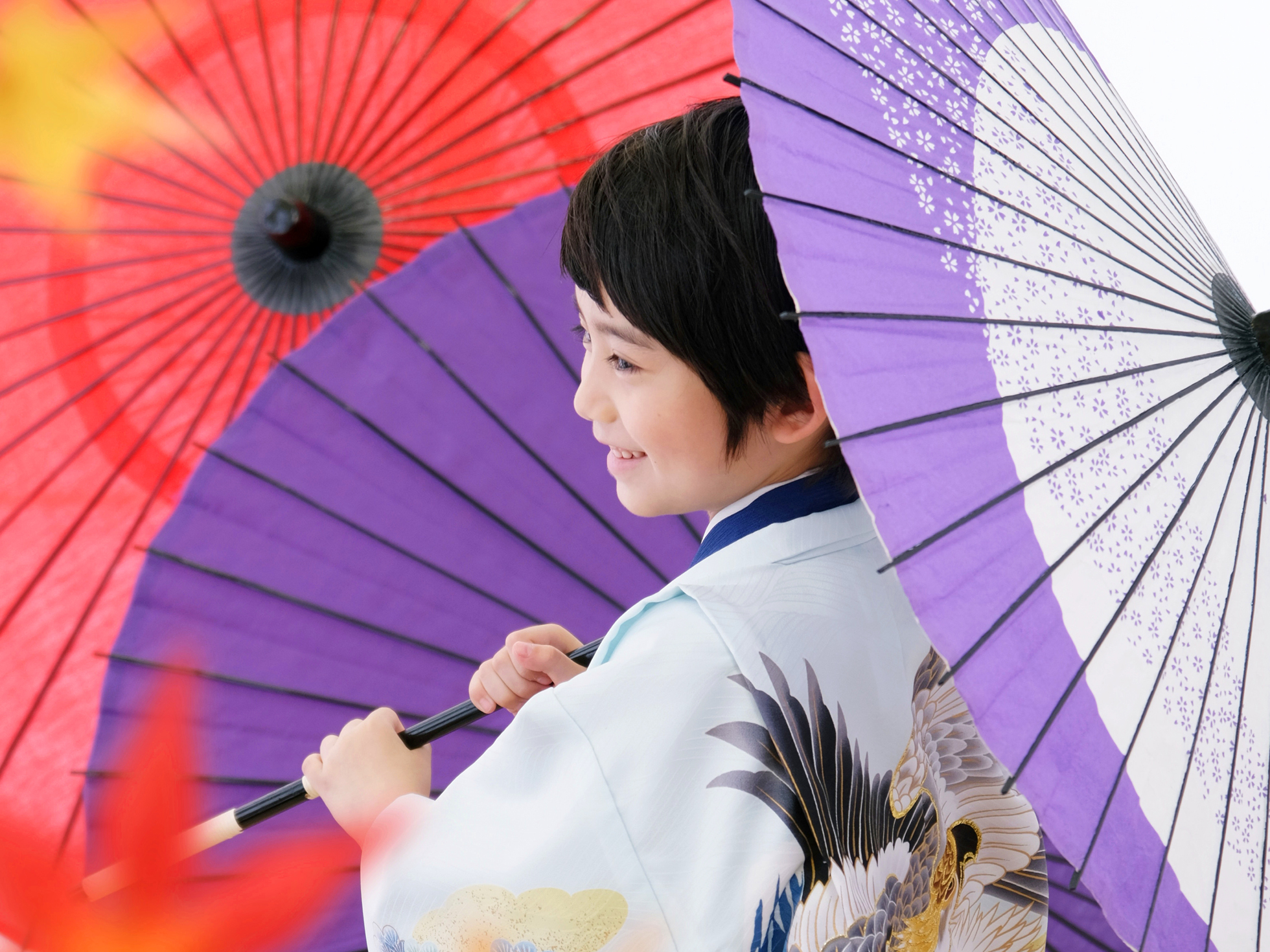 楽天市場】七五三 着物 7歳 紫の通販