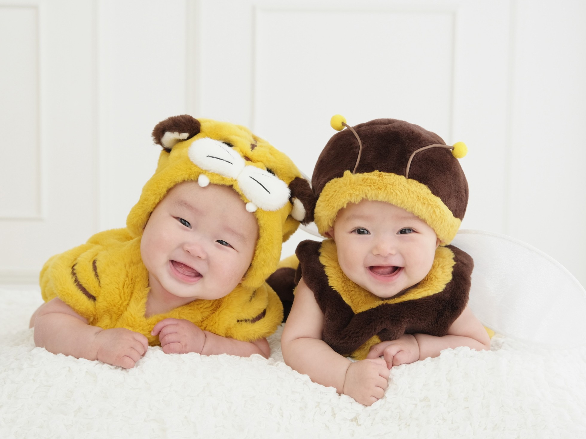 ラストチャンス＆<br>新作お試し赤ちゃん<br>着ぐるみ撮影会