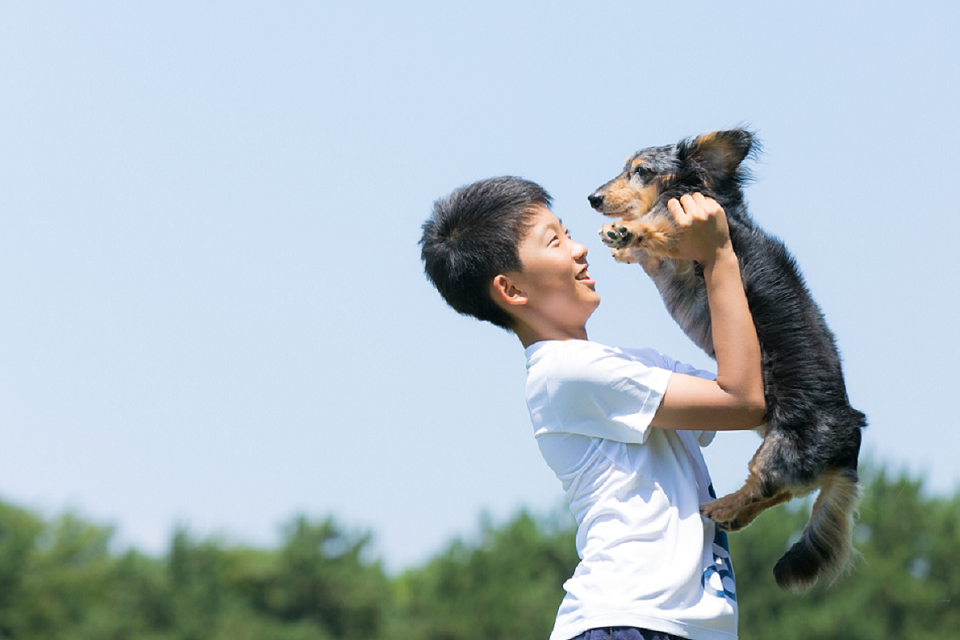 おでかけわんわんアリスの
おうち出張撮影