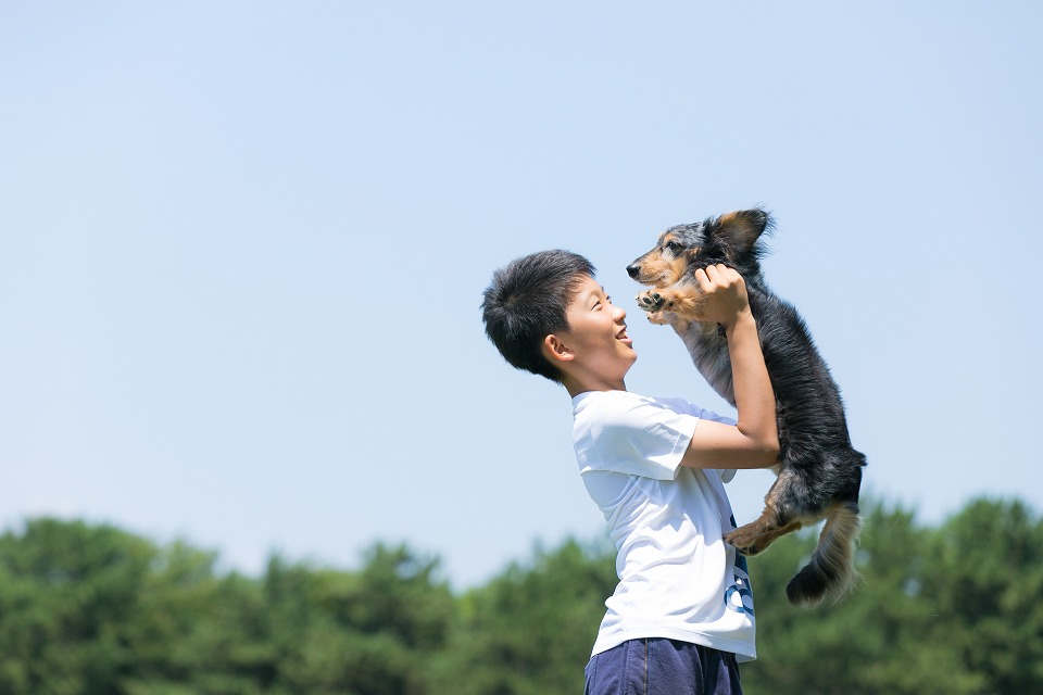 おでかけわんわんアリスの
おうち出張撮影