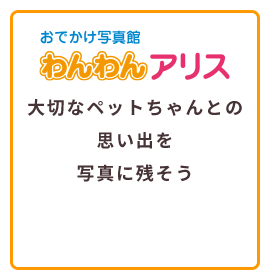 おでかけ写真館 わんわんアリス 大切なペットちゃんとの思い出を写真に残そう