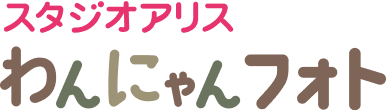 スタジオアリス わんにゃんフォト
