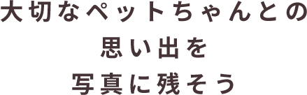 大切なペットちゃんとの思い出を写真に残そう